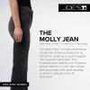 Joe’s Jeans Womens The Molly High Rise Flare Jean(Delphine)